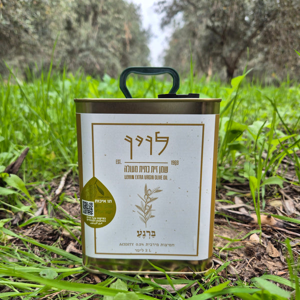 ברנע