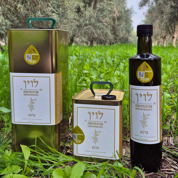 ברנע