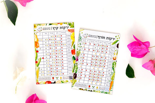 זוג מגנטים מאויירים של זמני זריעה ושתילה לירקות אביב קיץ - סתיו חורף