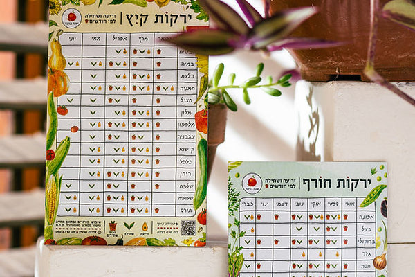 זוג מגנטים מאויירים של זמני זריעה ושתילה לירקות אביב קיץ - סתיו חורף