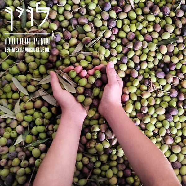 ראשון המסיק - מכירה מוקדמת